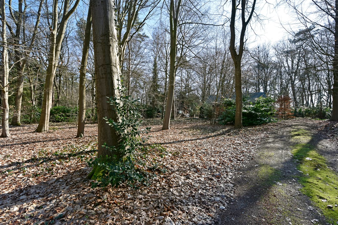 Photo 32 of Bracamonteweg 5