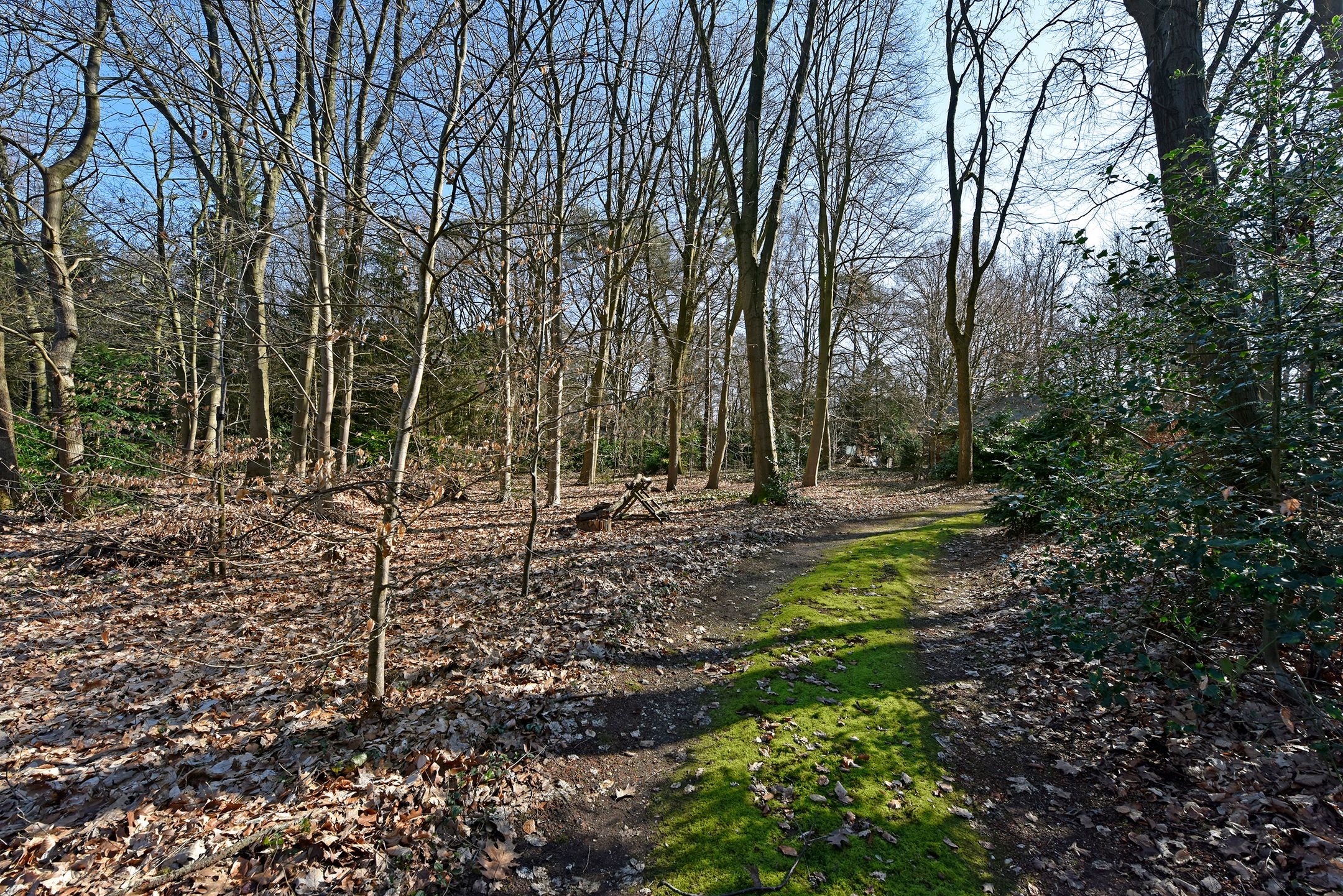 Photo 33 of Bracamonteweg 5