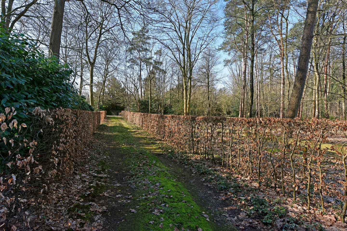 Photo 34 of Bracamonteweg 5