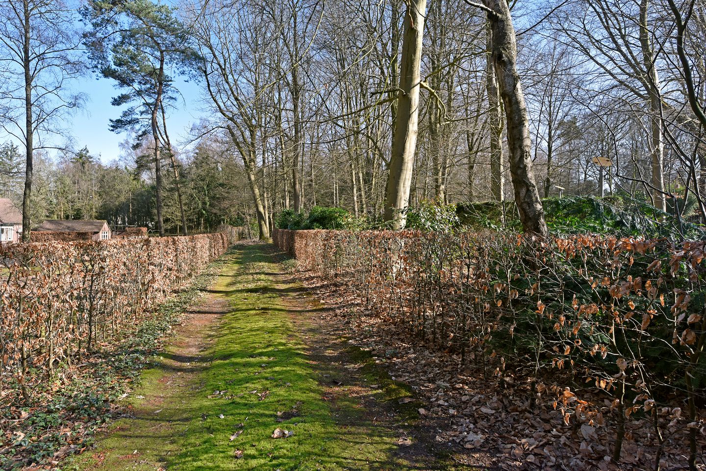 Photo 35 of Bracamonteweg 5