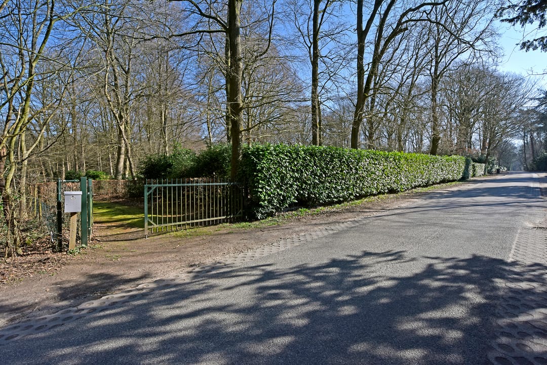 Photo 37 of Bracamonteweg 5