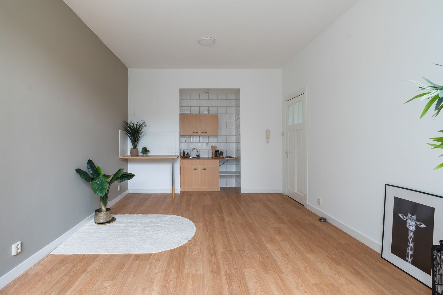 Photo 4 of Pletterijstraat 113-A