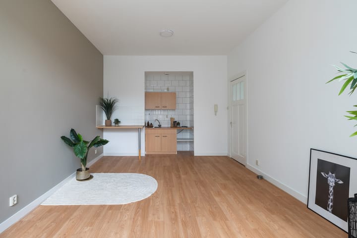 Photo 4 of Pletterijstraat 113-A