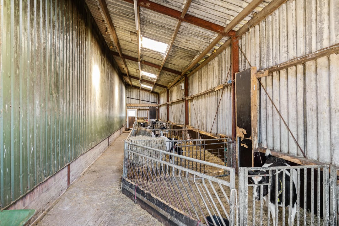 Foto 47 van Boersterweg 67