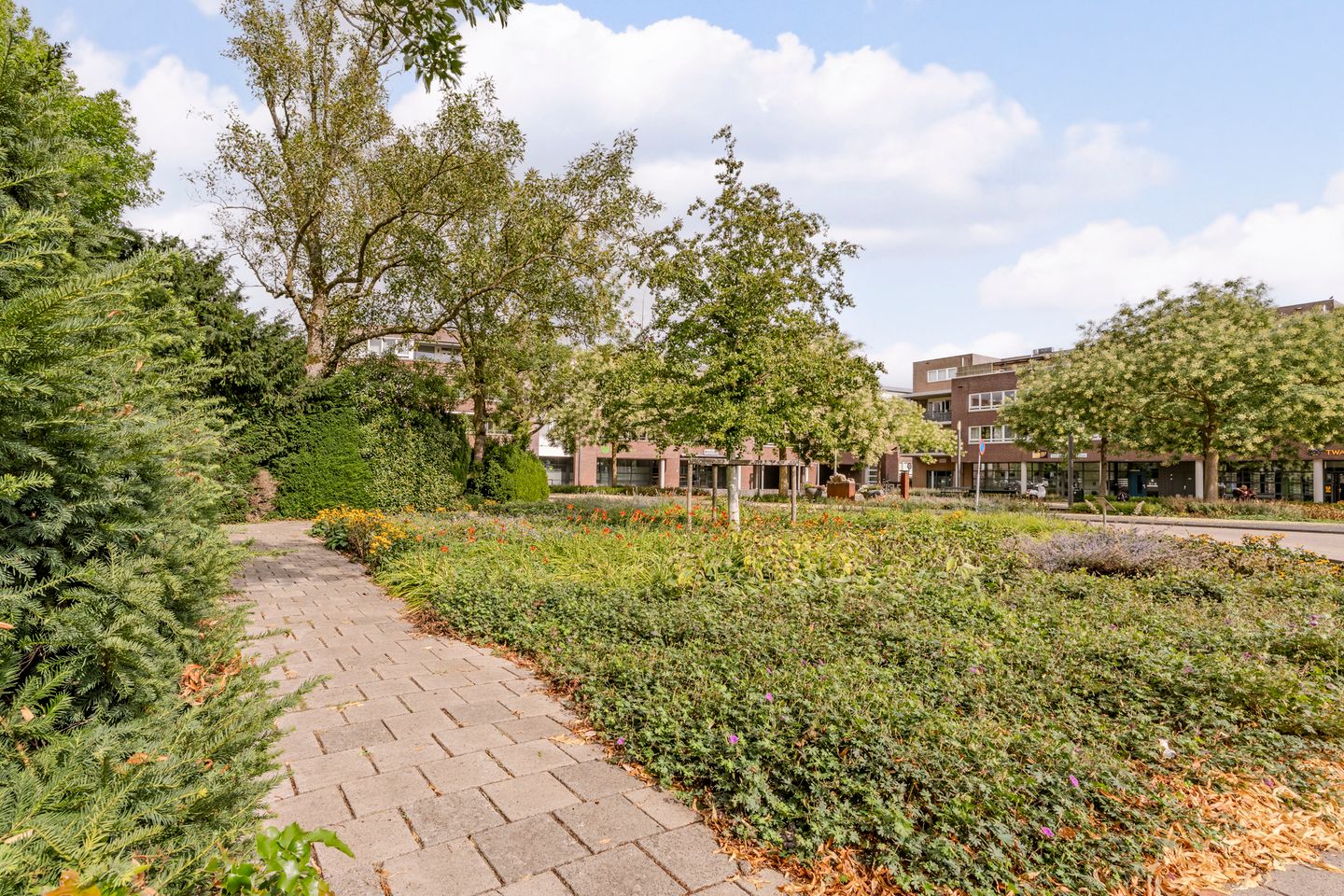 Foto 44 van Kruishout 32