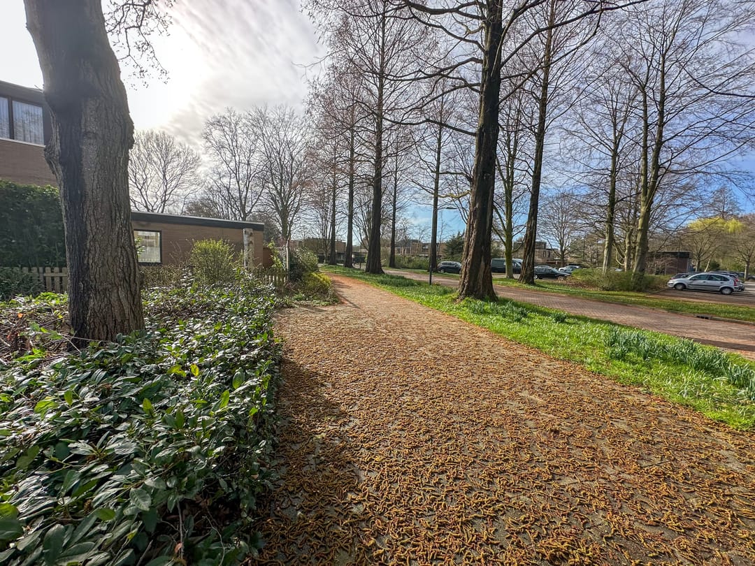 Foto 37 van Tulpentuin 311