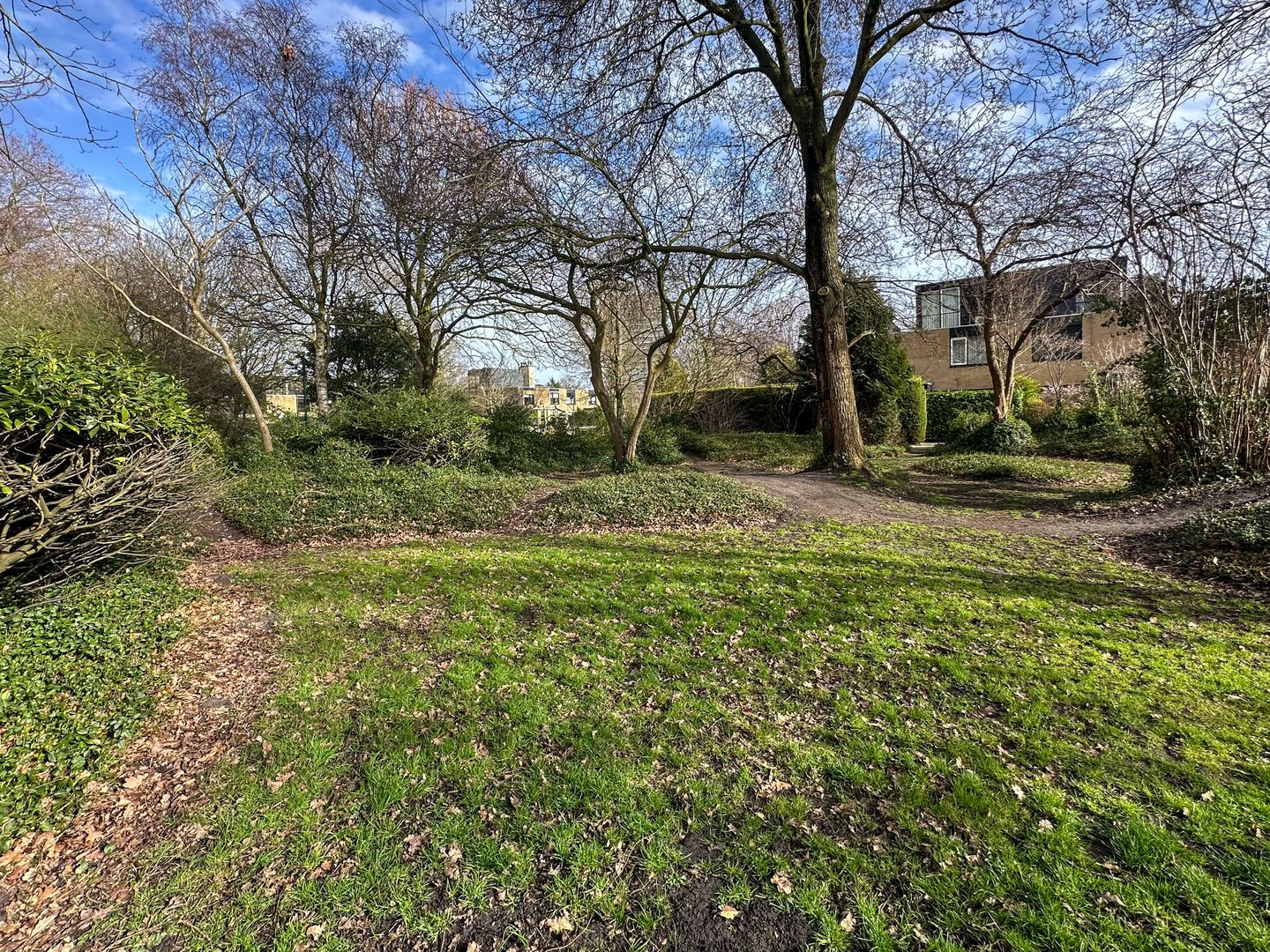 Foto 40 van Tulpentuin 311