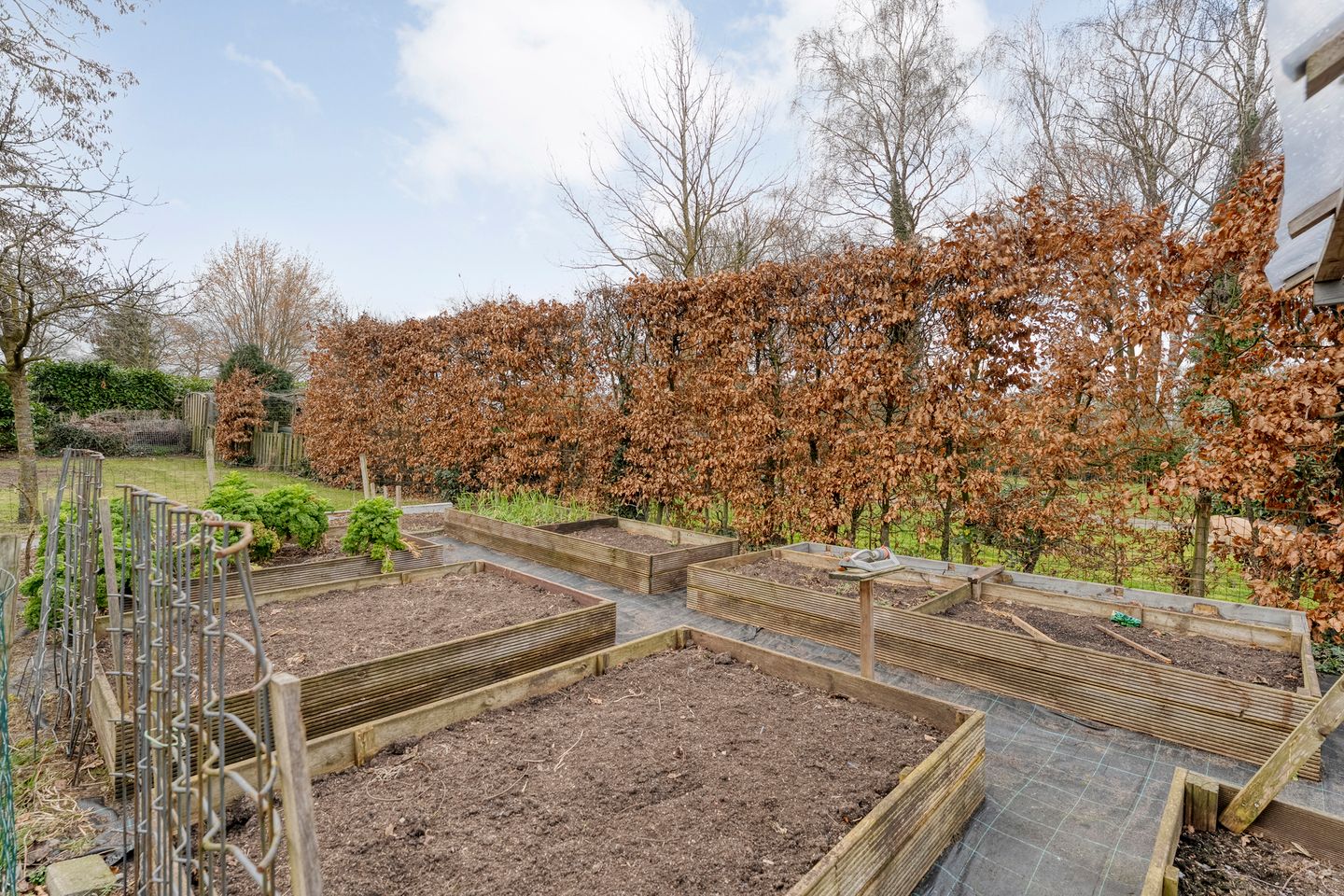 Foto 50 van Rijssensestraat 96