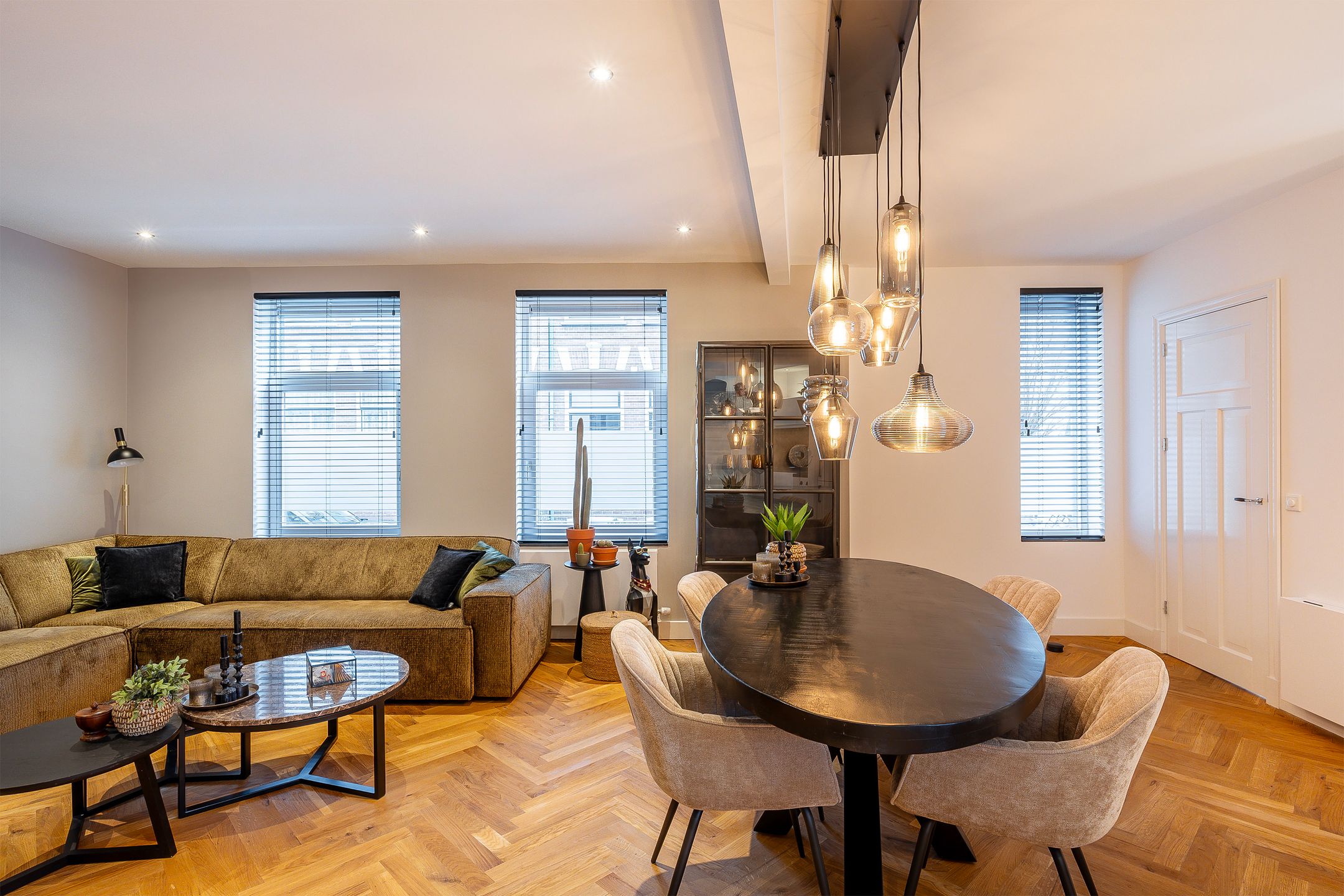 Foto 6 van Fenacoliuslaan 49