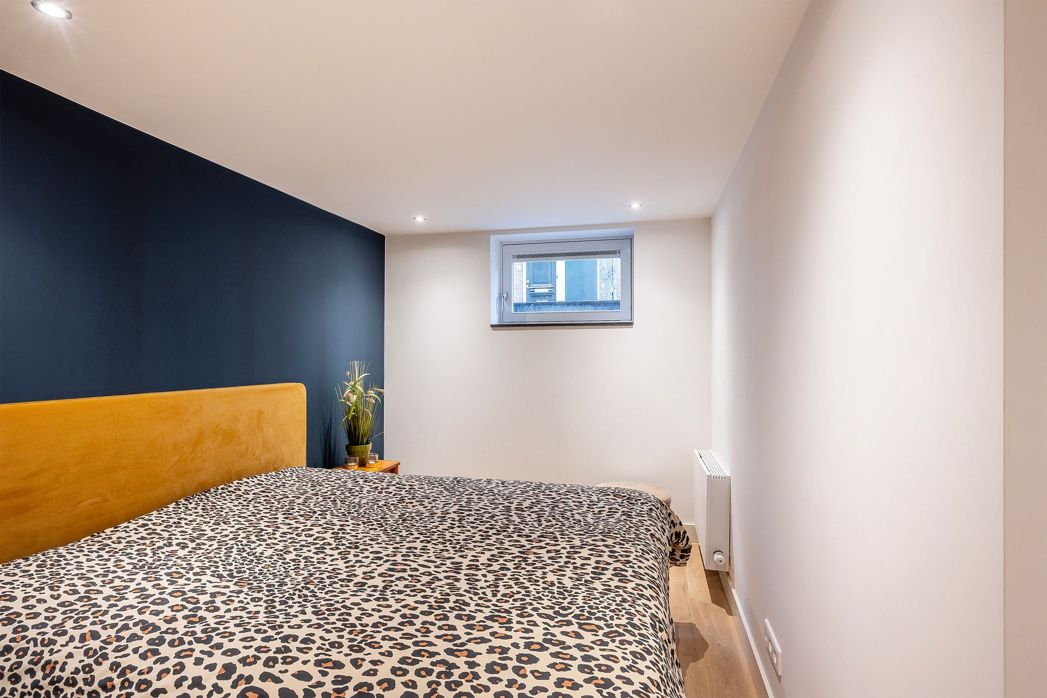 Foto 18 van Fenacoliuslaan 49