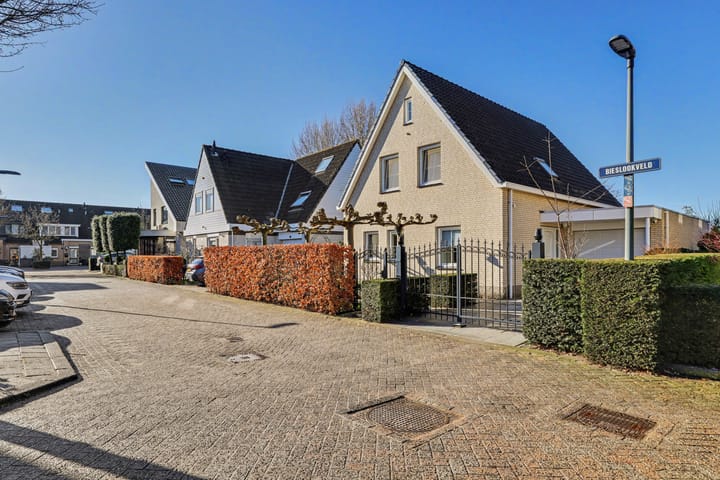 Foto 2 van Bieslookveld 5