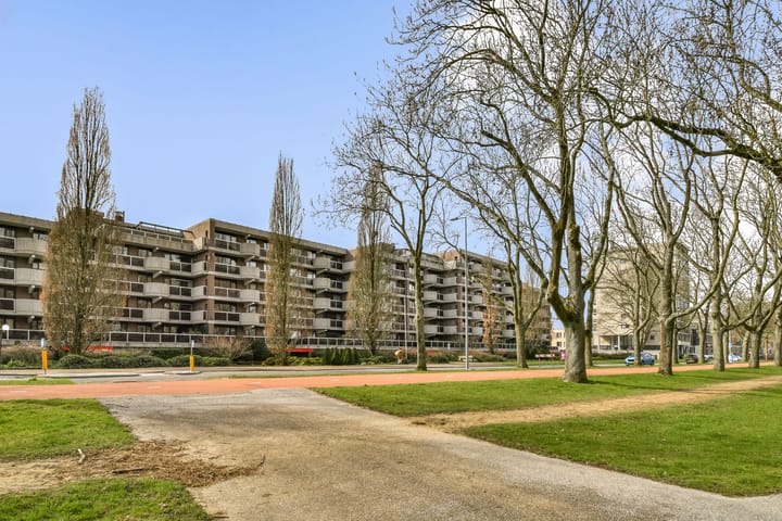 Photo 4 of Kralingse Plaslaan 71