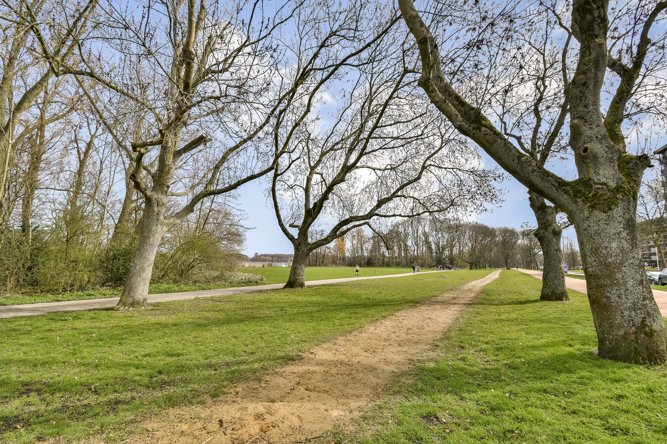 Photo 27 of Kralingse Plaslaan 71