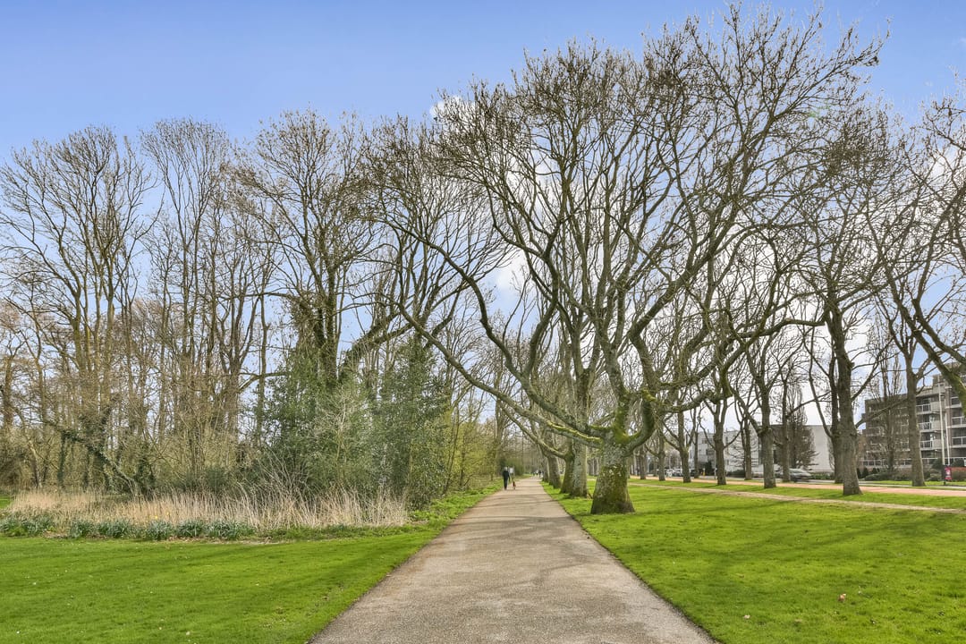 Photo 28 of Kralingse Plaslaan 71