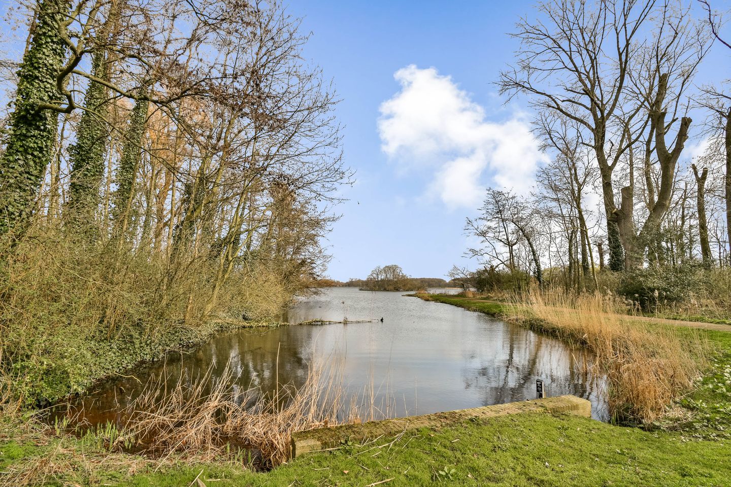 Photo 29 of Kralingse Plaslaan 71