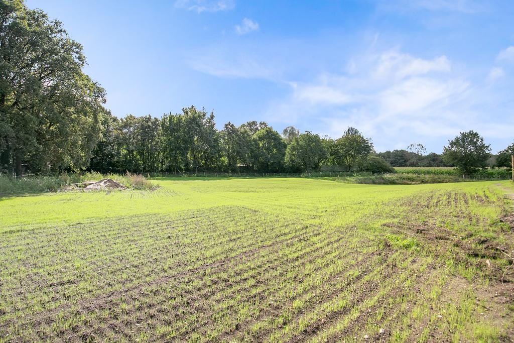 Photo 49 of Rijksweg 14