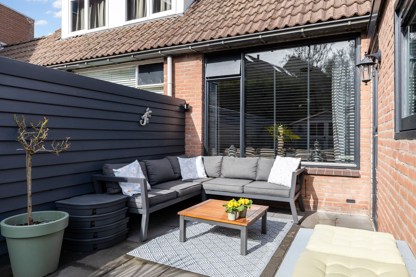 Foto 4 van Zilverfazant 4