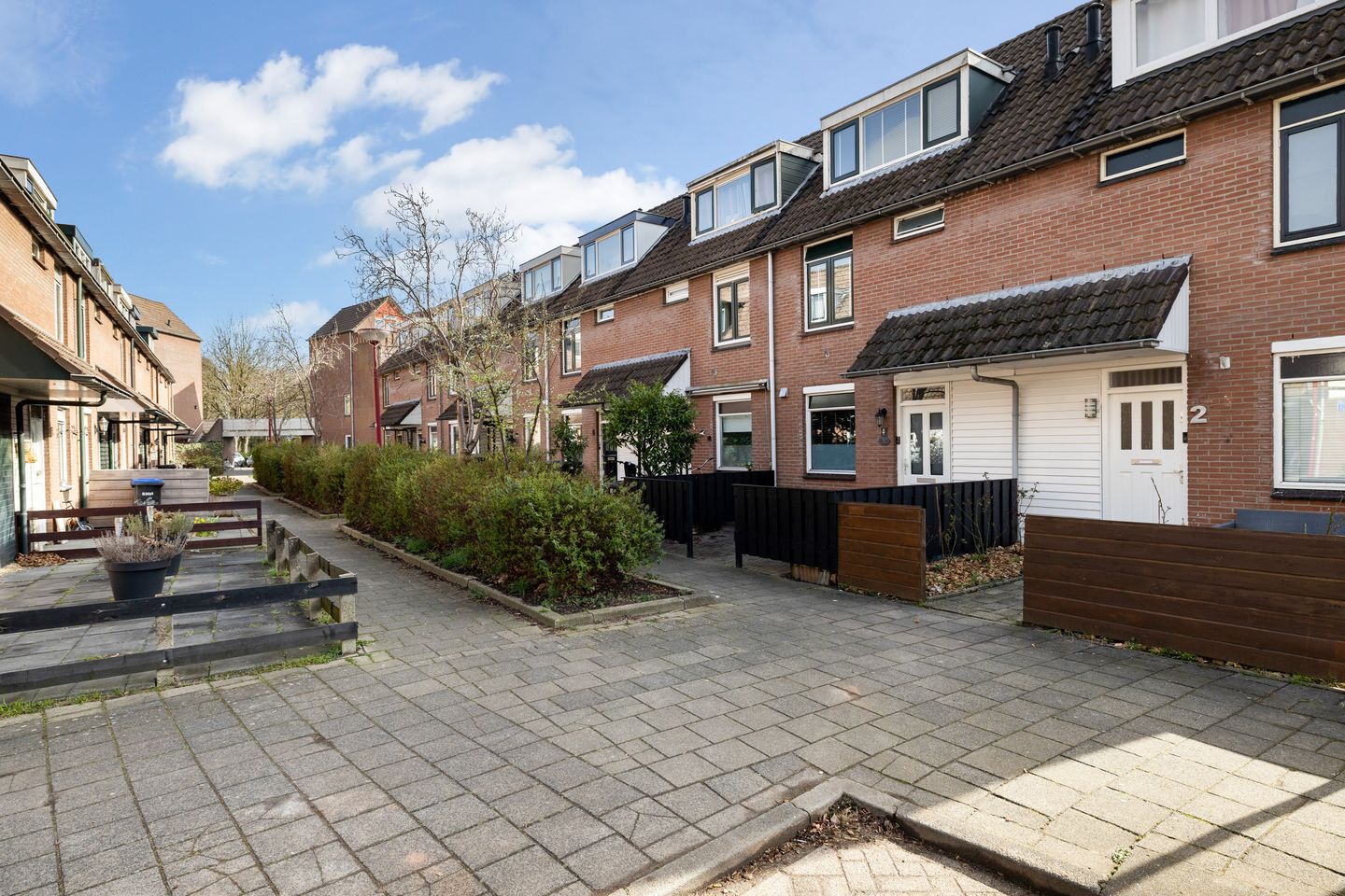 Foto 5 van Zilverfazant 4