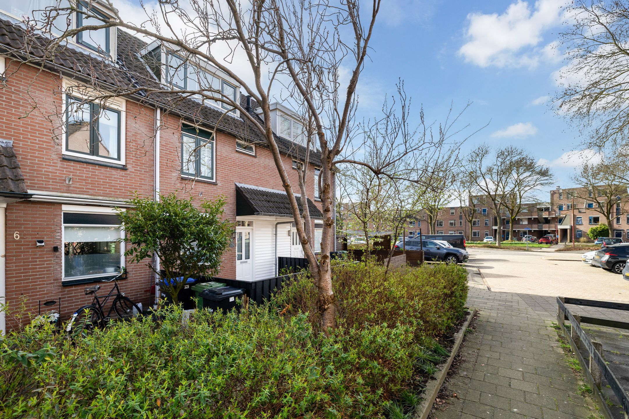 Foto 6 van Zilverfazant 4