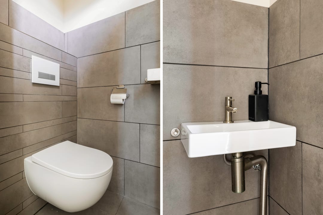 Foto 8 van Zilverfazant 4