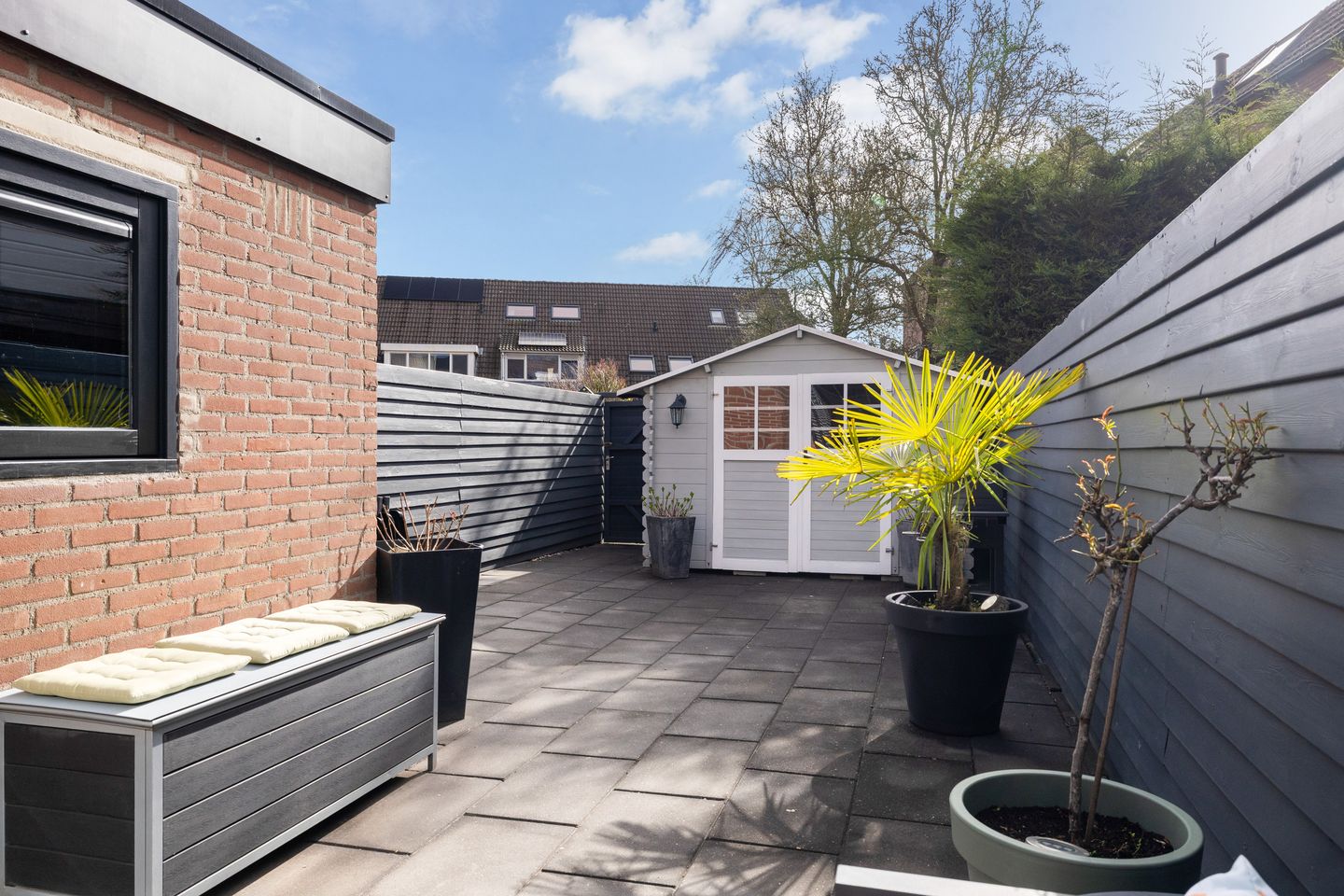 Foto 20 van Zilverfazant 4