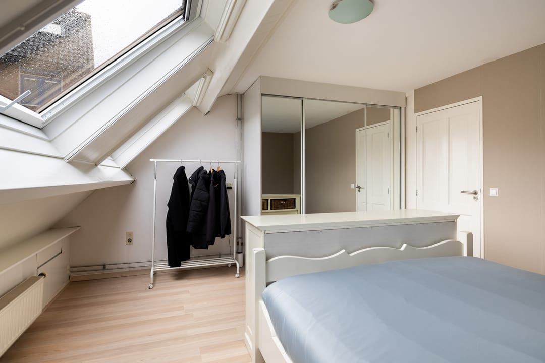 Foto 26 van Zilverfazant 4