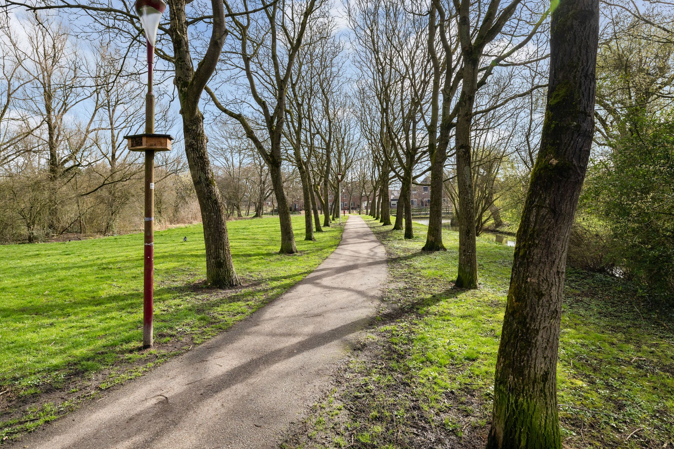 Foto 36 van Zilverfazant 4