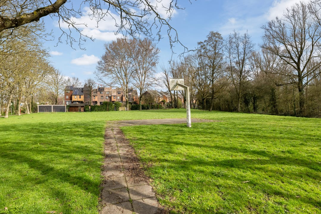 Foto 37 van Zilverfazant 4