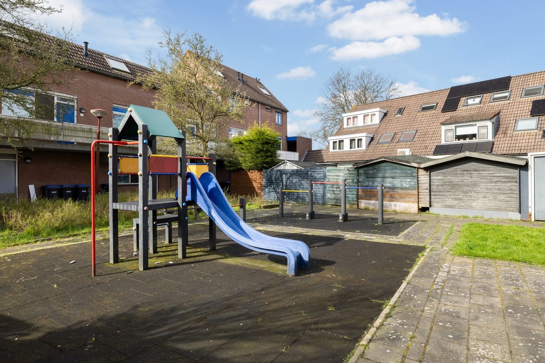 Foto 38 van Zilverfazant 4