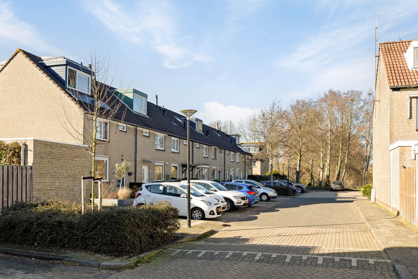 Foto 25 van Vingerhoedskruid 23