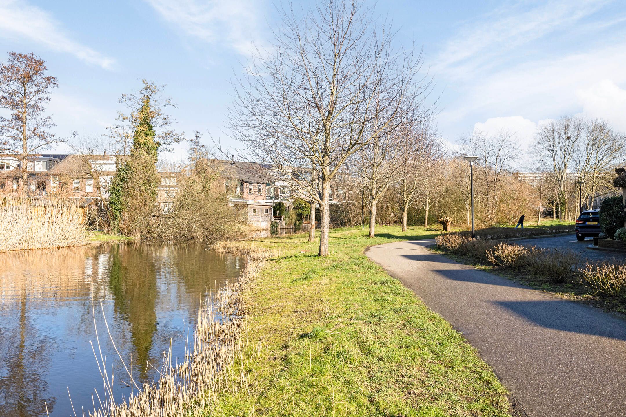 Foto 27 van Vingerhoedskruid 23