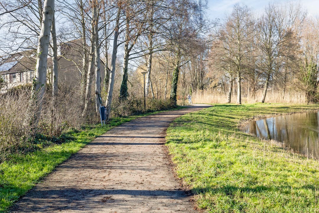 Foto 28 van Vingerhoedskruid 23