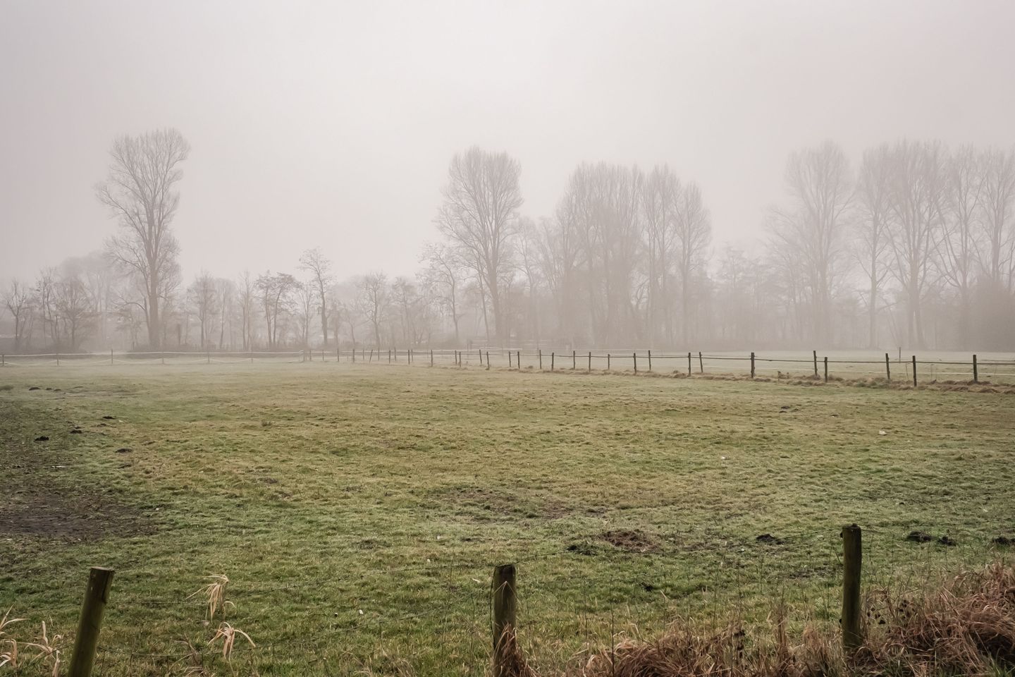 Foto 35 van Charta 77-Vaart 164