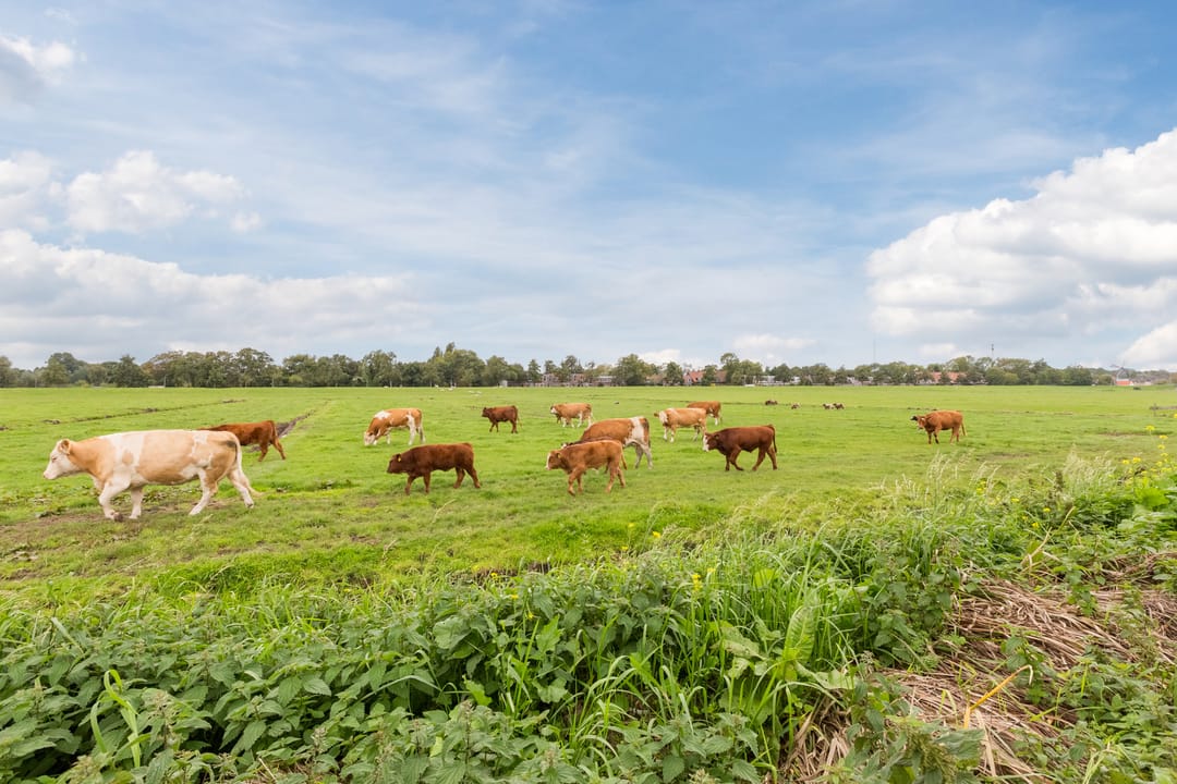 Foto 61 van Fregat 67