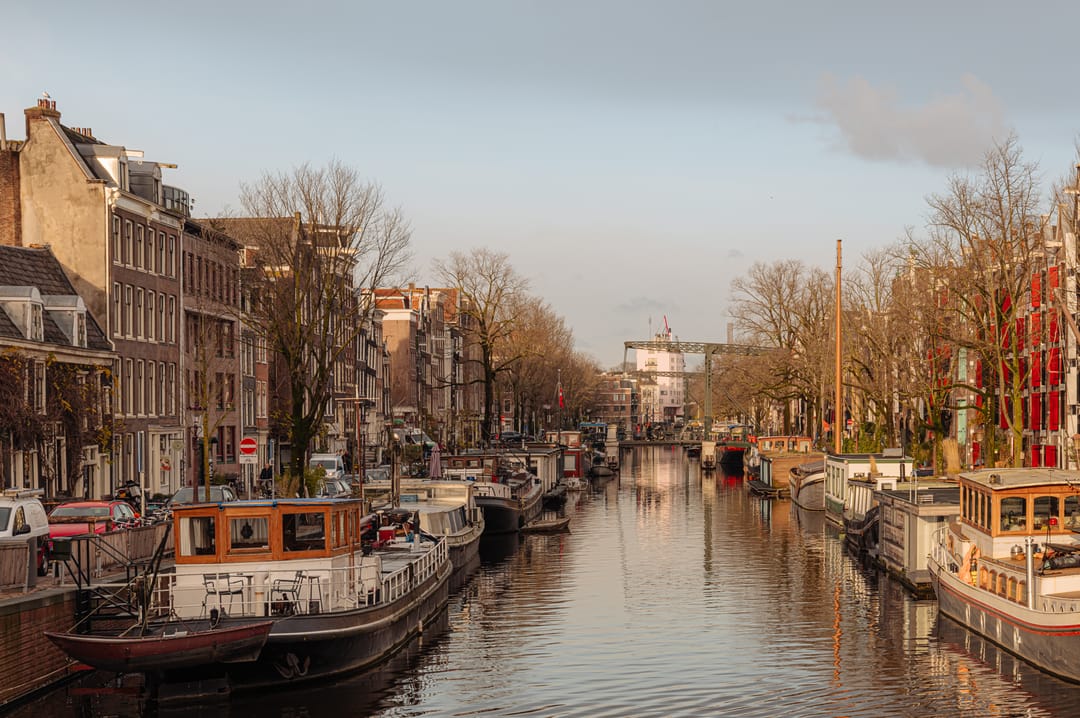 Foto 41 van Boomstraat 53-B