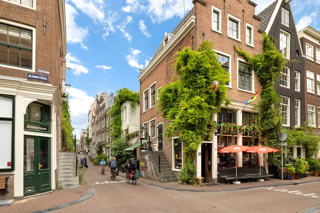 Foto 46 van Boomstraat 53-B