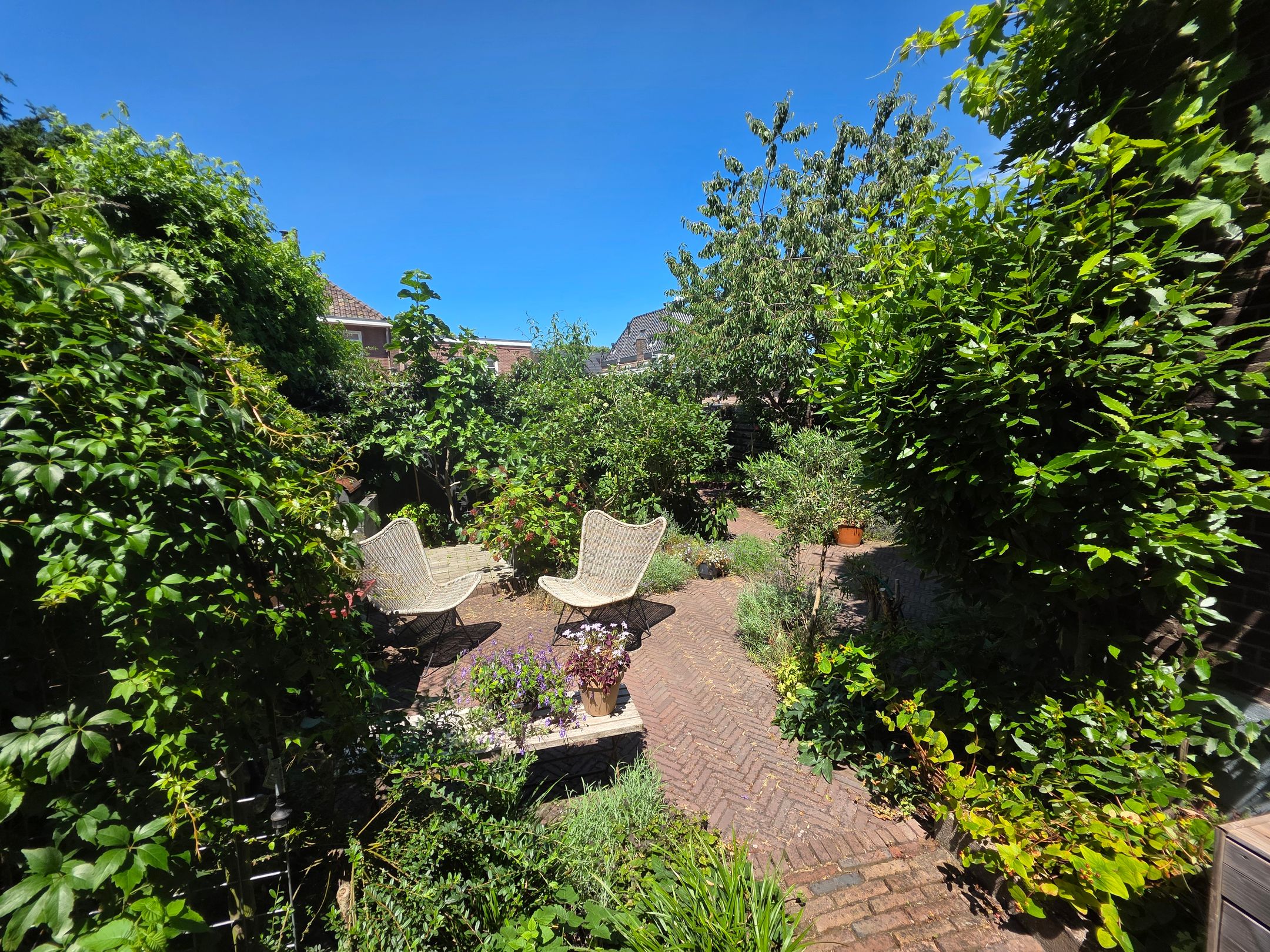 Foto 60 van Albrecht Beijlinggracht 28