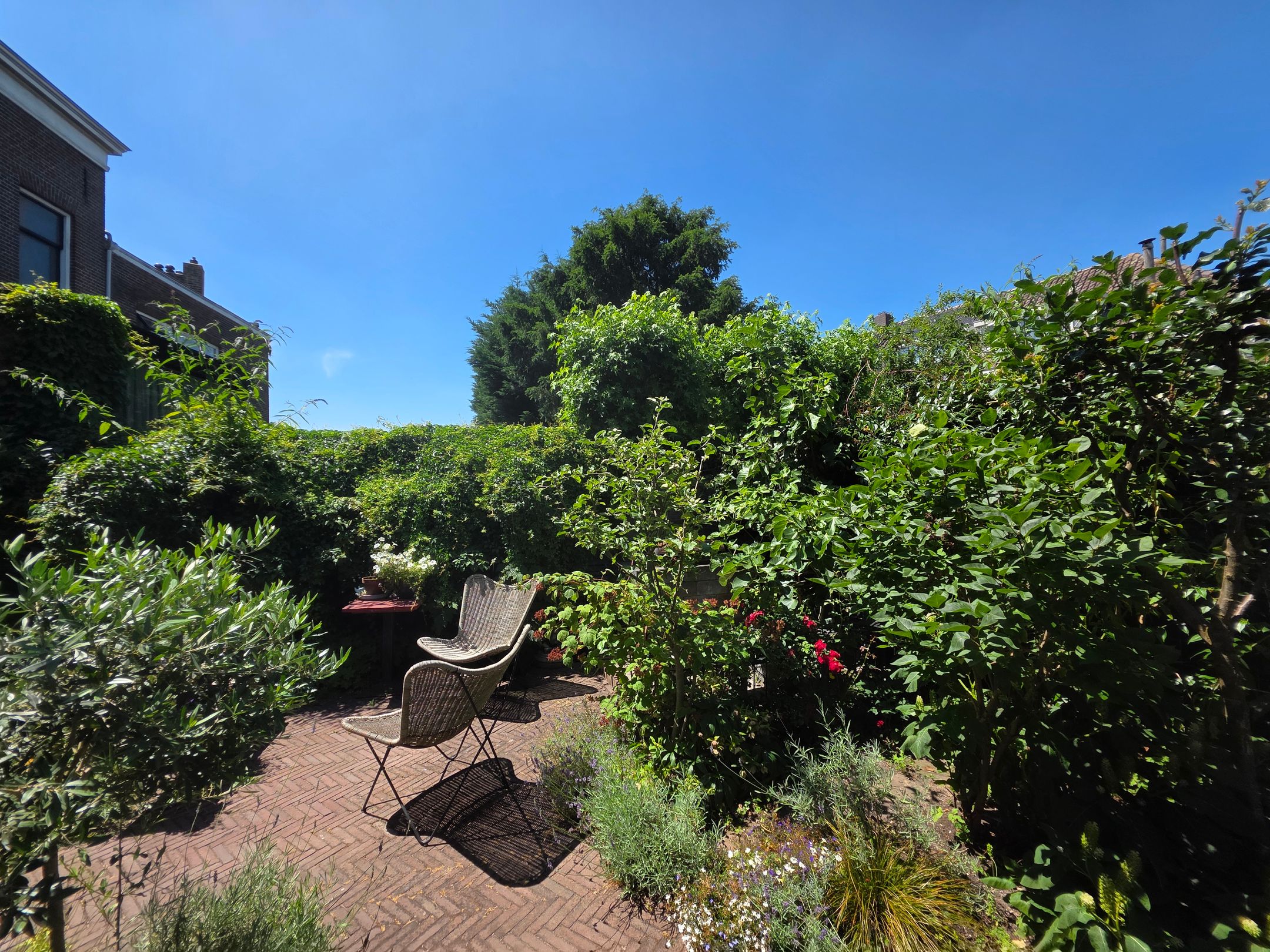 Foto 63 van Albrecht Beijlinggracht 28