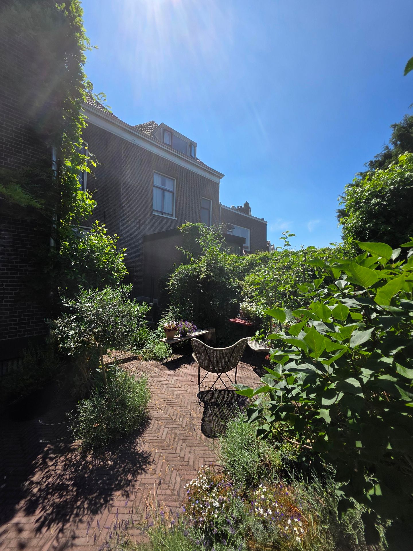 Foto 64 van Albrecht Beijlinggracht 28