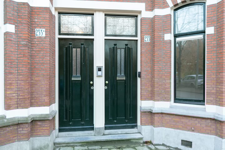 Foto 2 van Bezuidenhoutseweg 233-A