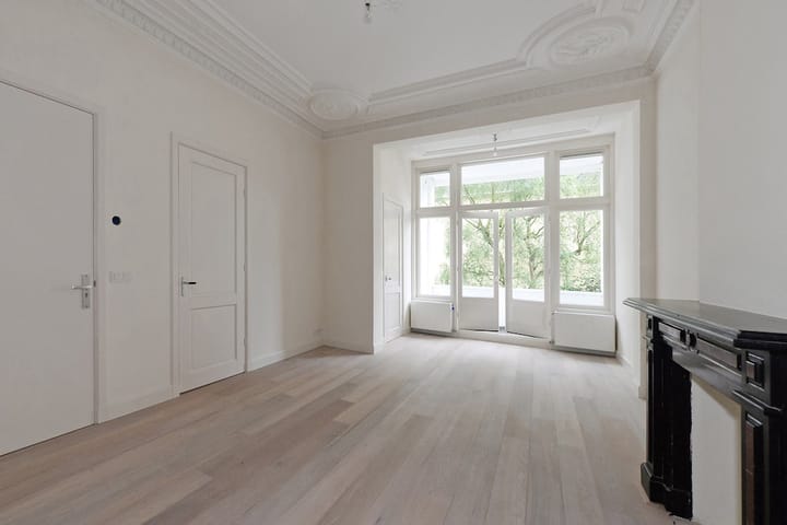 Foto 3 van Bezuidenhoutseweg 233-A