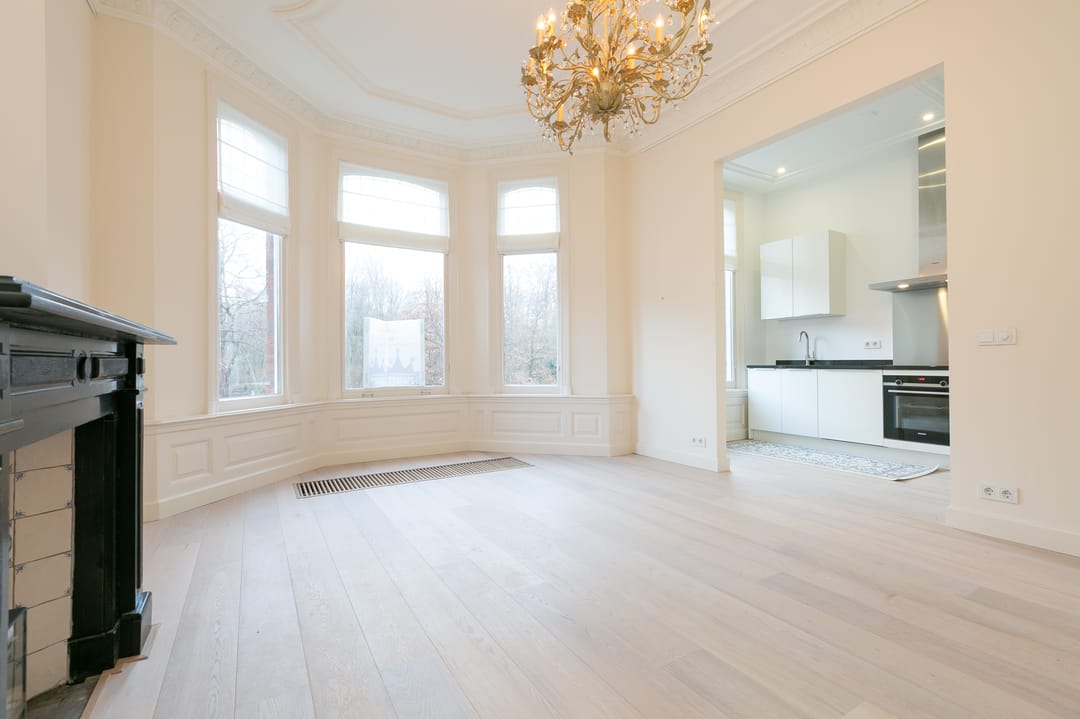 Foto 8 van Bezuidenhoutseweg 233-A