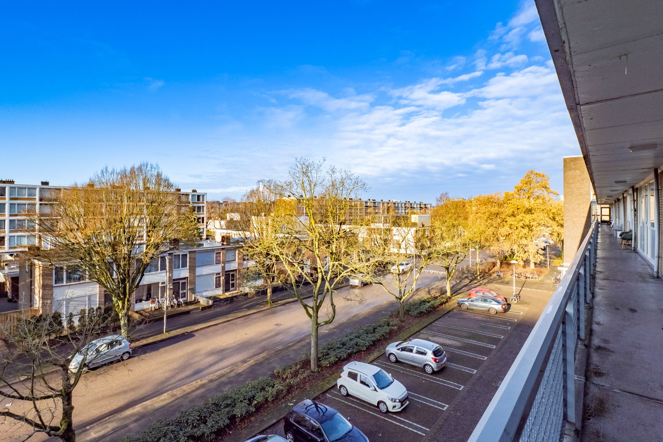 Foto 33 van Livingstonelaan 708