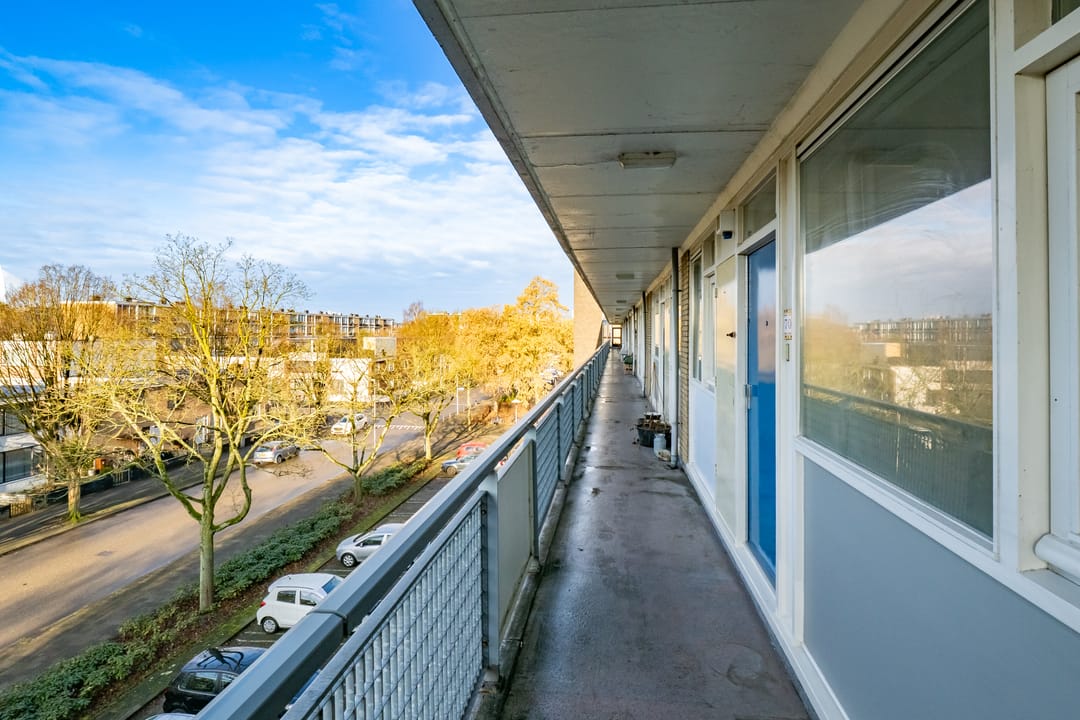 Foto 32 van Livingstonelaan 708