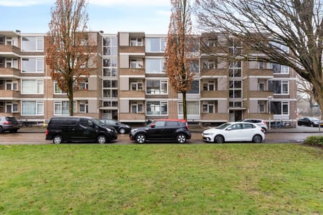 Outshoornstraat thumbnail