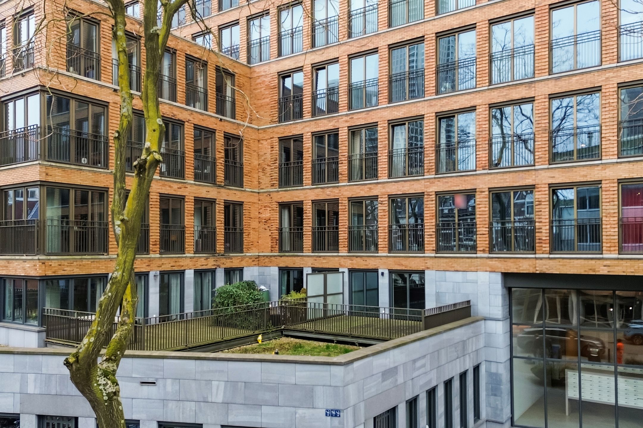 Van Vollenhovenstraat 3- 3 101