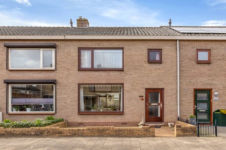 undefined main image