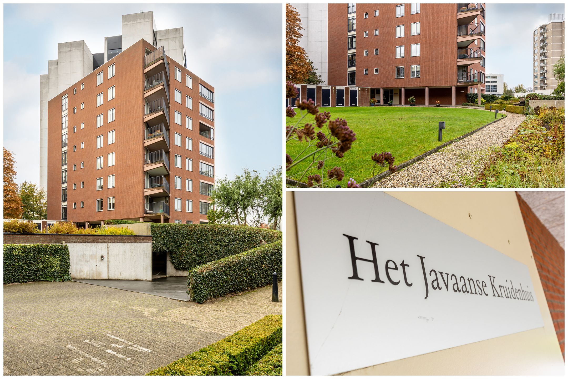 Foto 33 van Specerijenhof 11