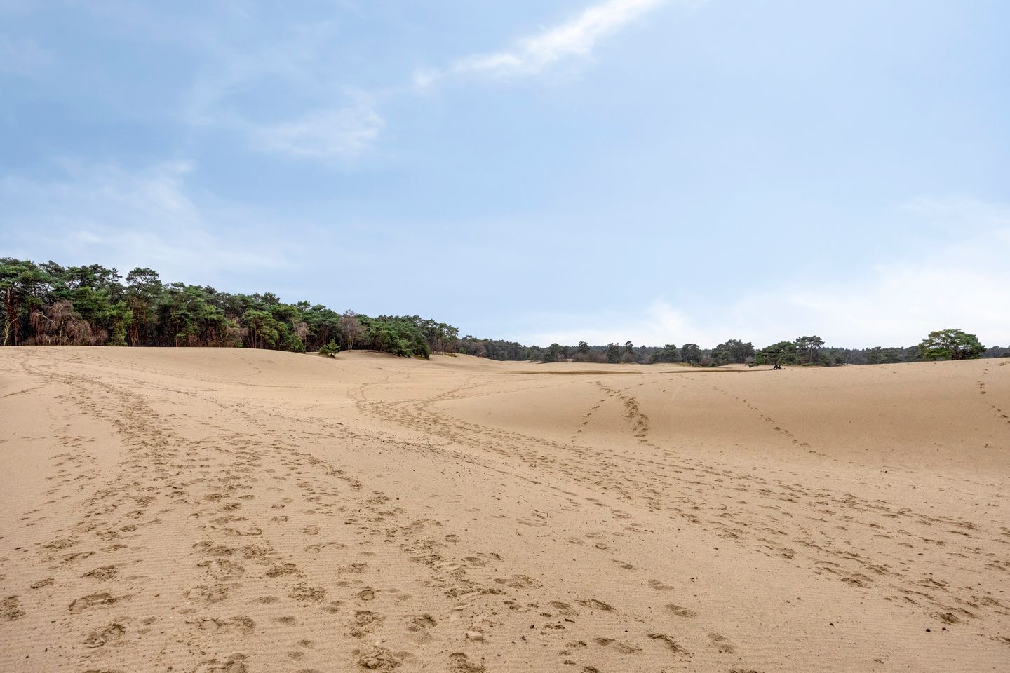 Foto 40 van Jeneverbesweg 5