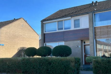 undefined main image